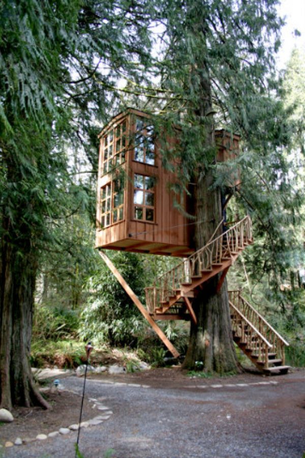Tree House Point à environ 35 km de Seattle (USA).