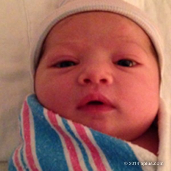 Ashton s'est amusé à publier plusieurs photos de bébés sur son site. L'un d'entre eux est la petite Wyatt Isabelle Kutcher.