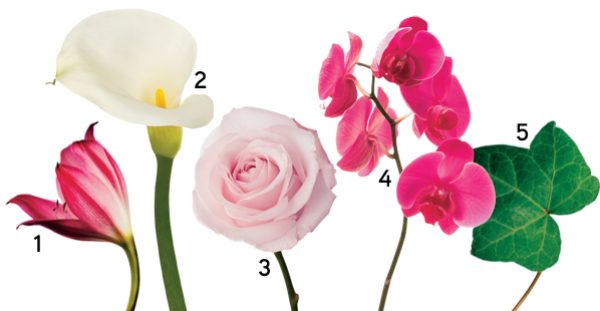 1. Le lys. 2. Le calla. 3. La rose. 4. L’orchidée. 5. Le lierre.