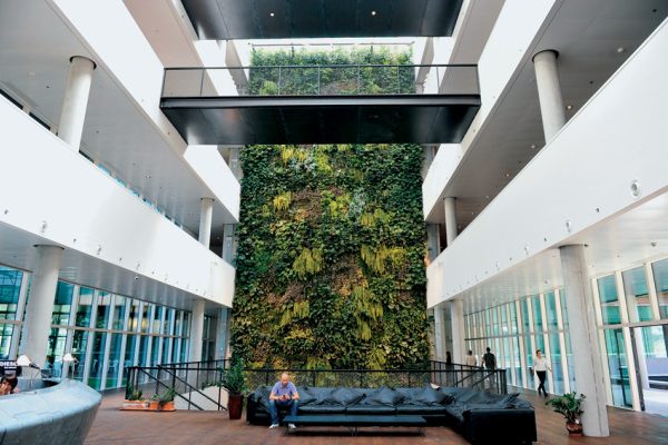 L’atrium et son mur végétal donnent une impression d’espace qu’on retrouve dans tout l’immeuble.