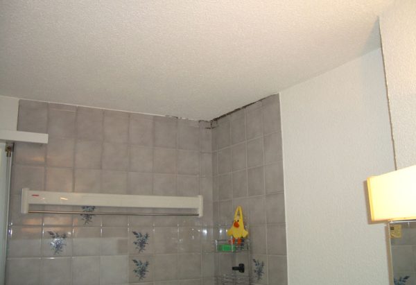 Lorsque l'humidité dans un logement est si élevée que des moisissures apparaissent, le problème provient fréquemment de défauts imputables aux techniques de construction (mur extérieur mal isolé, par exemple).
