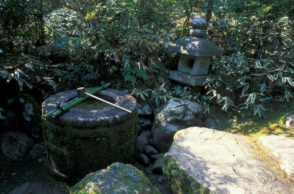 Il existe un genre de jardins traditionnels japonais qui combine une multitude de plantes et des lanternes, des bassins remplis d'eau et des pierres.