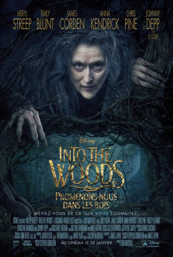 Le premier poster du film 'Into The Woods - Promenons-nous dans les bois' se concentre sur le personnage de Meryl Streep, une sorcière maléfique.