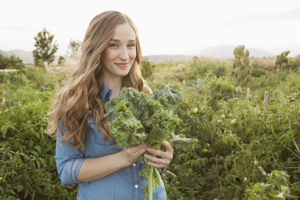Le kale, une variété de chou vert, est la nouvelle star du healthy food.