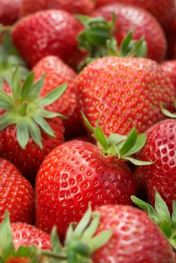 La consommation de fraises pourrait prévenir la formation d'ulcères.