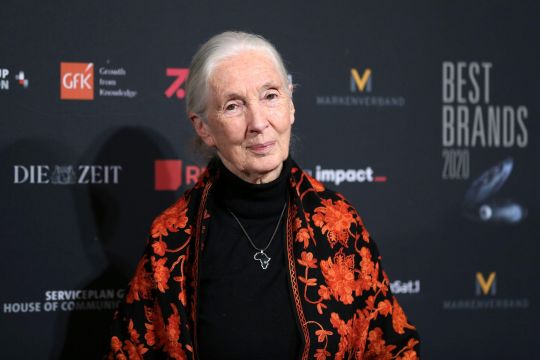 Jane Goodall, icône optimiste de la cause environnementale