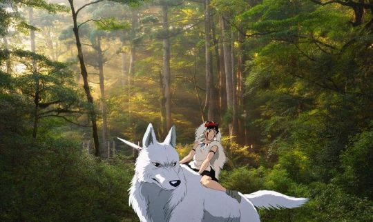 Yakushima forest Alamy design pics Ghibli Studio Mononoke