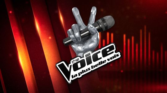 TF1: Changement dans le jury de The Voice 2016
