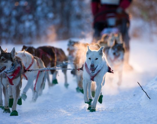 10 plaisirs nordiques qui nous font aimer l’hiver
