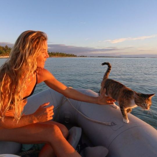 Une navigatrice et son chat parcourent les océans