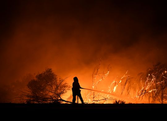 Incendies californie bilan victimes maisons brulees miley cyrus
