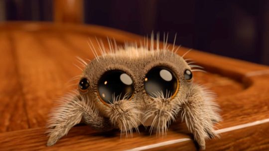 Lukas spider