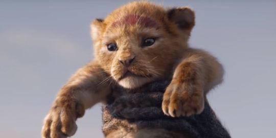 Le «Roi Lion» sortira en film: découvrez la bande-annonce (on frissonne déjà!)
