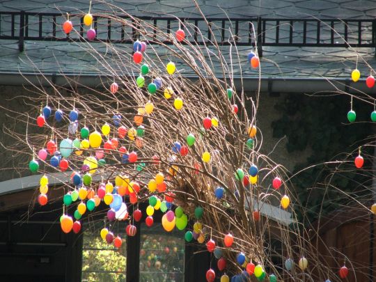 En Allemagne, la tradition c'est l’arbre de Pâques.