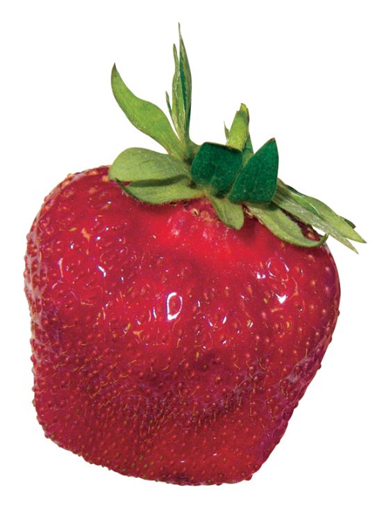 Femina 21 vertus fraises 72