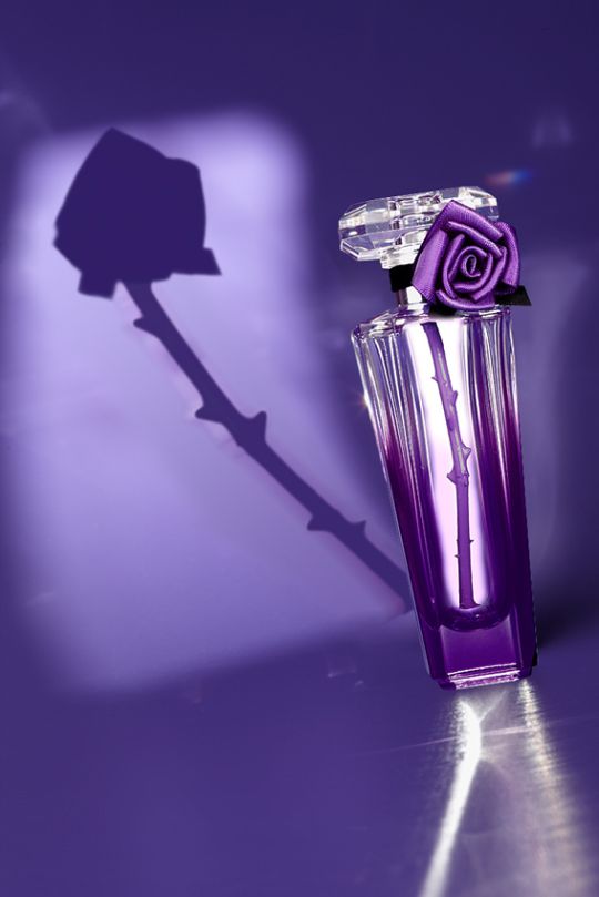 La maison Lancôme propose une version collector de sa fragrance "Trésor Midnight Rose", renfermant une véritable tige de rose.