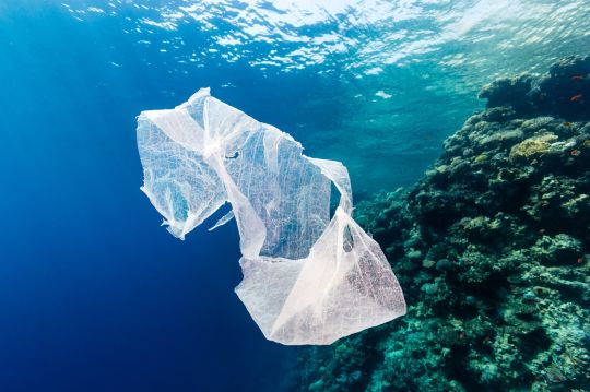 Dans les océans notamment, le mélange de déchets plastiques de tailles diverses a un impact considérable sur l'environnement.