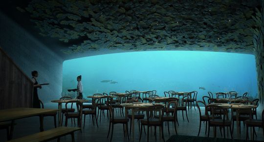 Avant même son ouverture, le plus grand restaurant sous-marin au monde est déjà complet
