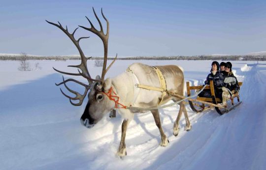 La Laponie, une destination idéale pour Noël.